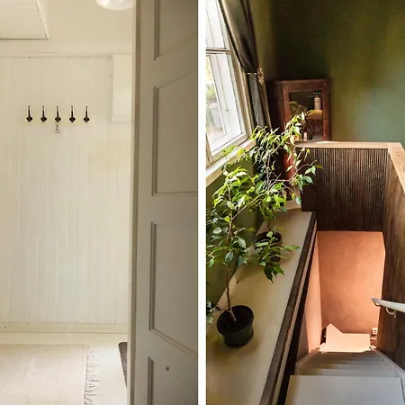 Palazzo Patriarcale In *